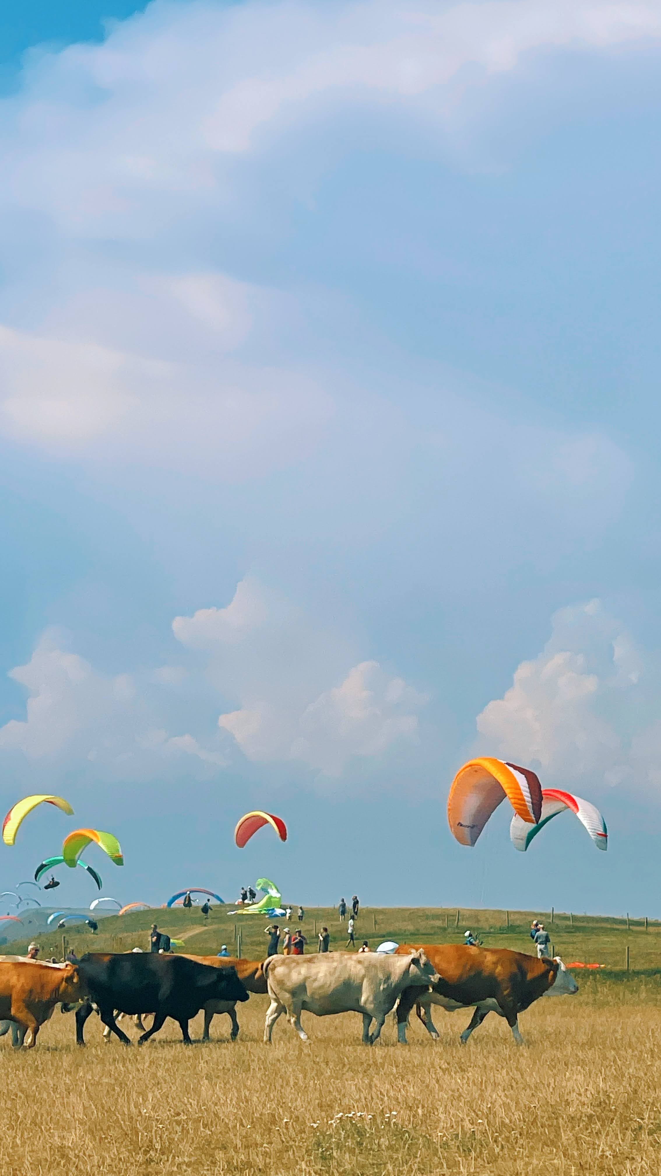 Skåne