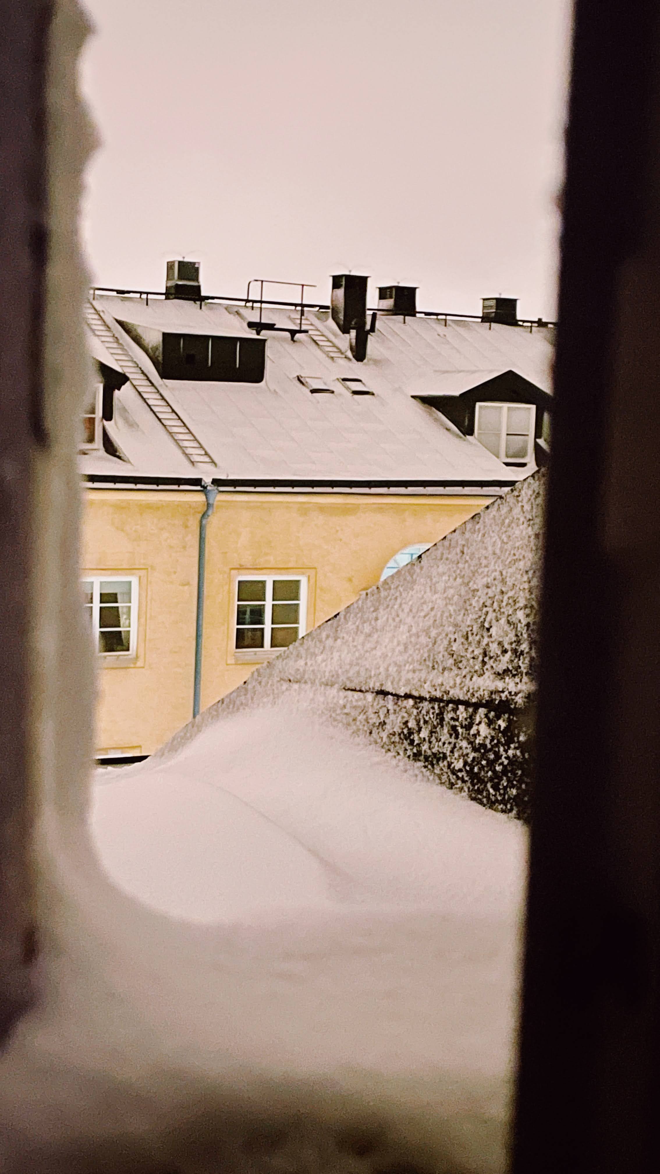Winter