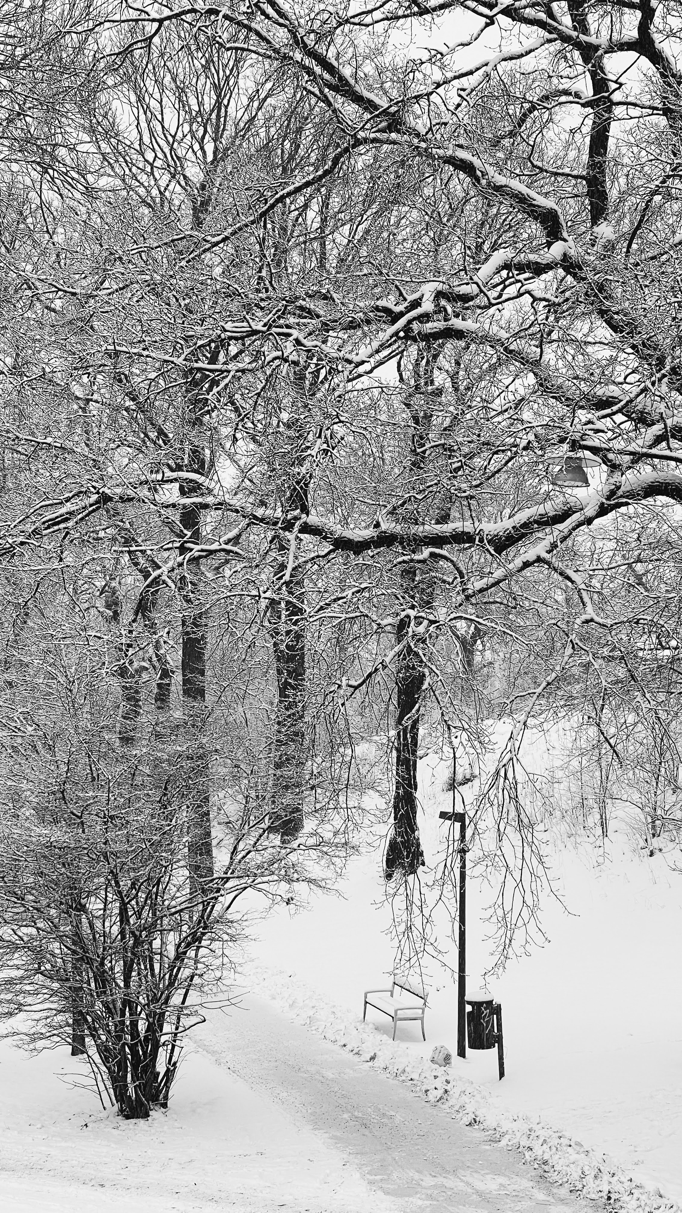 Winter